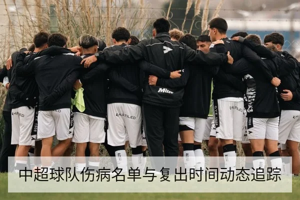 中超球队伤病名单与复出时间动态追踪