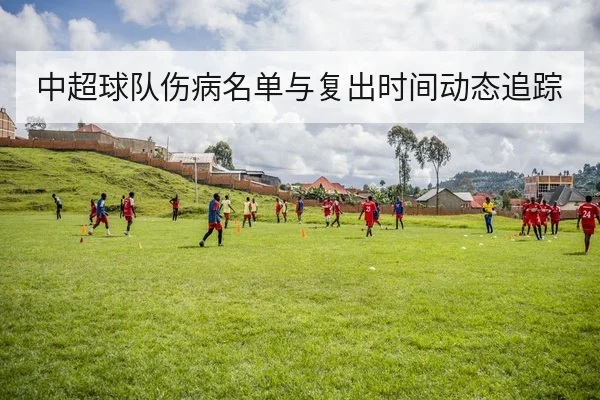 中超球队伤病名单与复出时间动态追踪