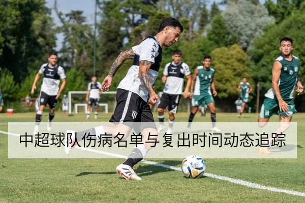 中超球队伤病名单与复出时间动态追踪